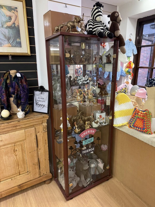 Collectible Figurines and Soft Toys Display